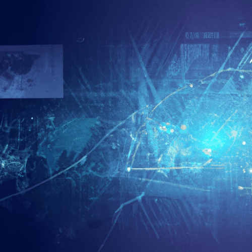 Working with a Translation Agency to Translate Surveillance Reports and Protocols