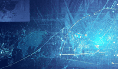 Working with a Translation Agency to Translate Surveillance Reports and Protocols